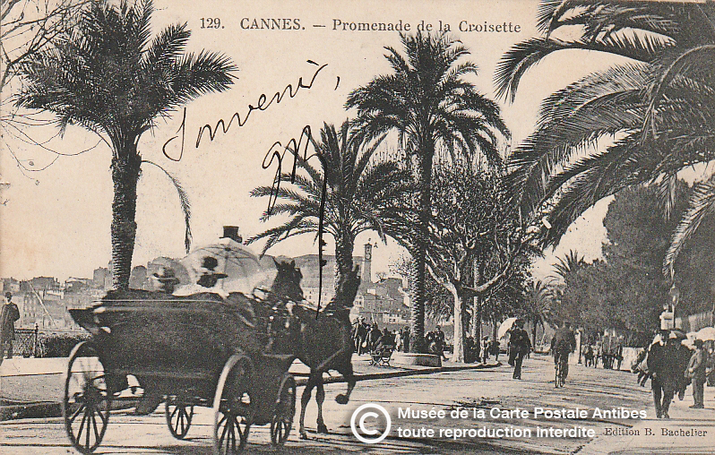 Carte postale ancienne représentant la promenade de la croisette à Cannes, issue des réserve du musée de la carte postale, à Antibes.