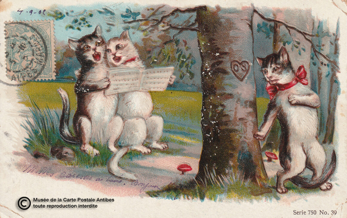 Carte postale illustrant les amours félins.