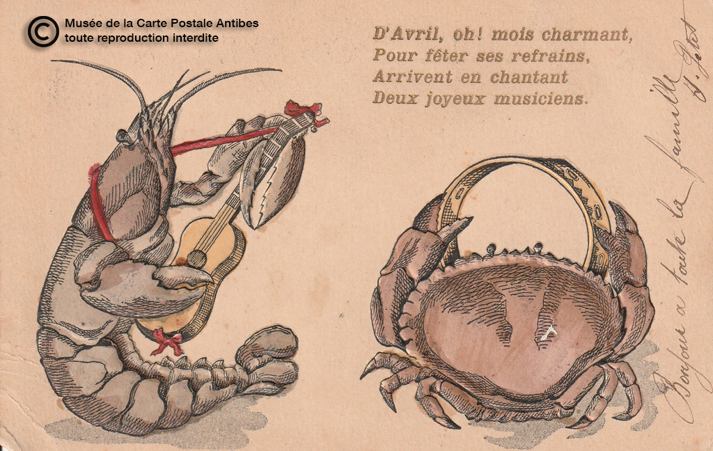 Carte postale dessin d'un crabe et d'une langouste musiciens.