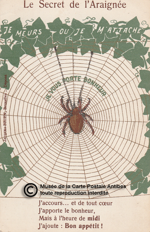 Carte postale ancienne représentant une araignée qui porte bonheur.