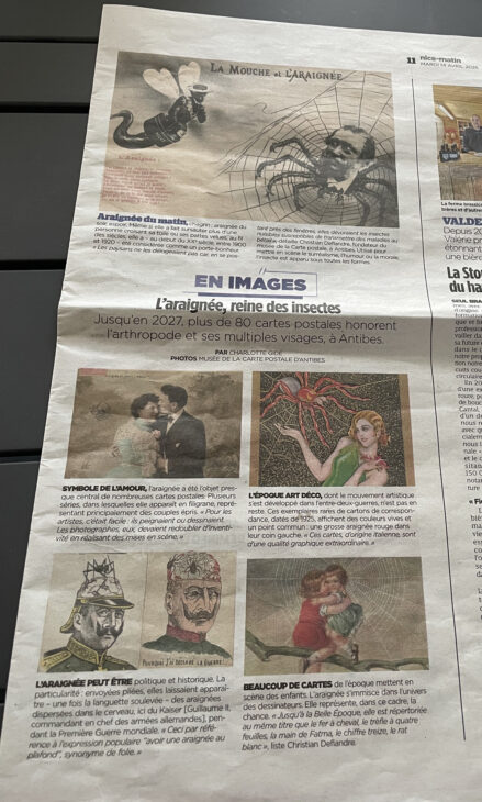 Article Nice Matin du 14 avril 2026 sur l'exposition de cartes postales du musée d'Antibes au sujet des araignées.