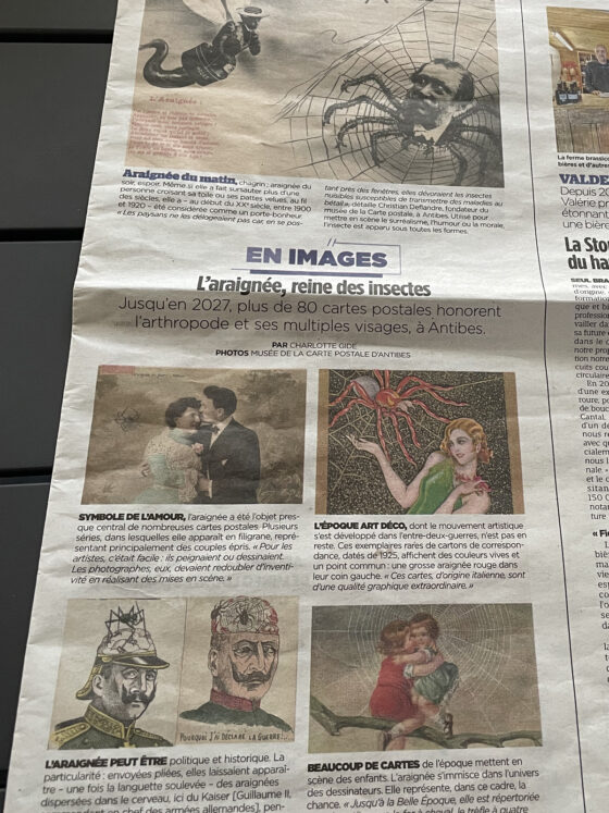 Article Nice Matin du 14 Avril 2026 sur notre exposition temporaire consacrée aux araignées