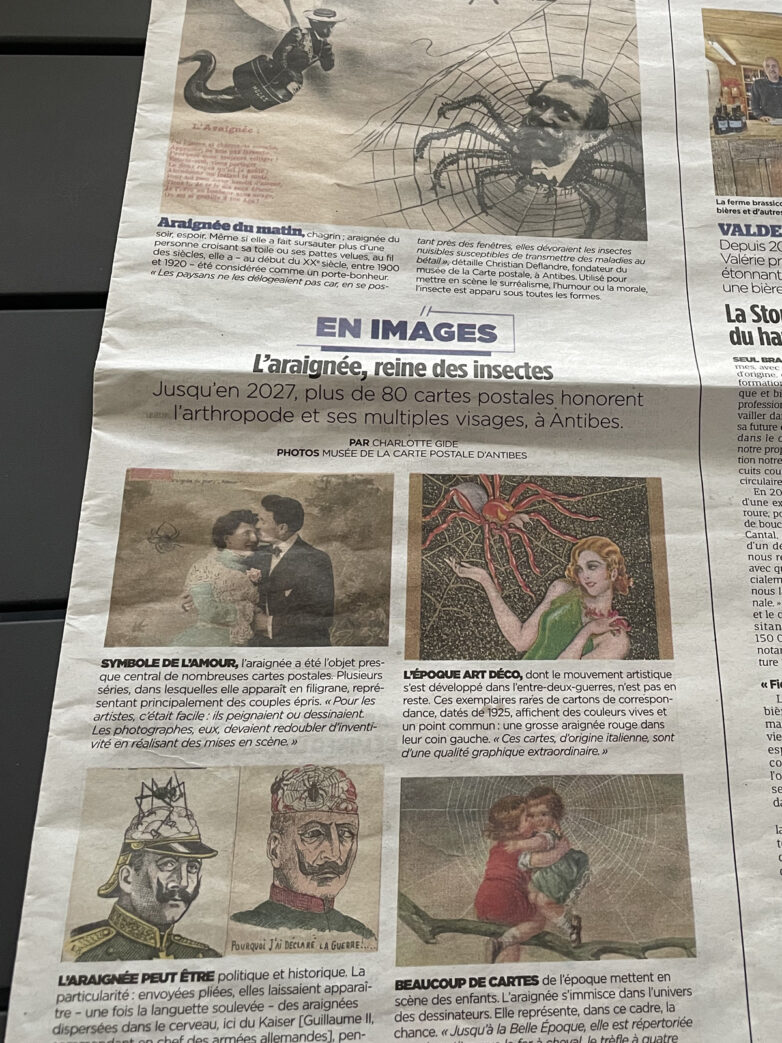 Article Nice Matin du 14 Avril 2026 sur notre exposition temporaire consacrée aux araignées